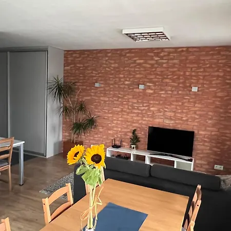 Apartament Sternicza 华沙